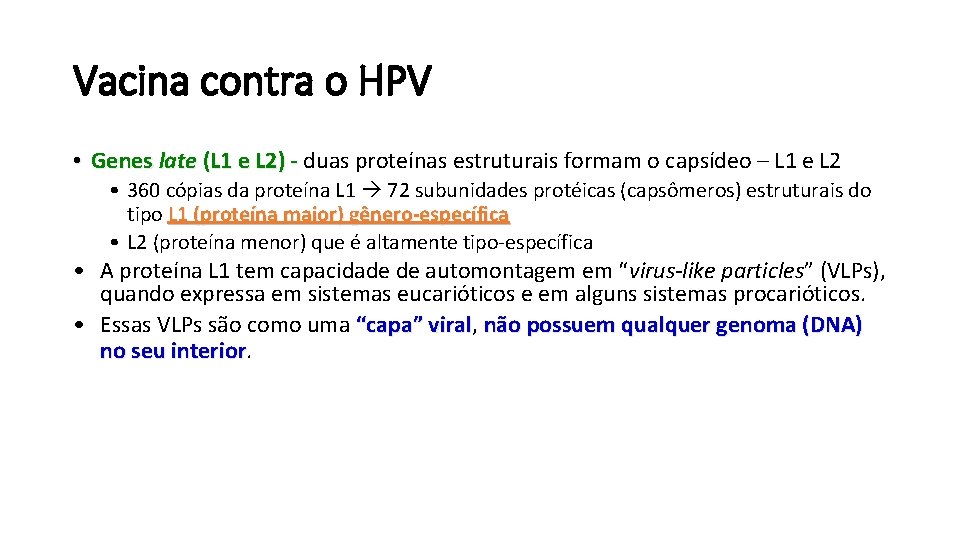 Vacina contra o HPV • Genes late (L 1 e L 2) - duas