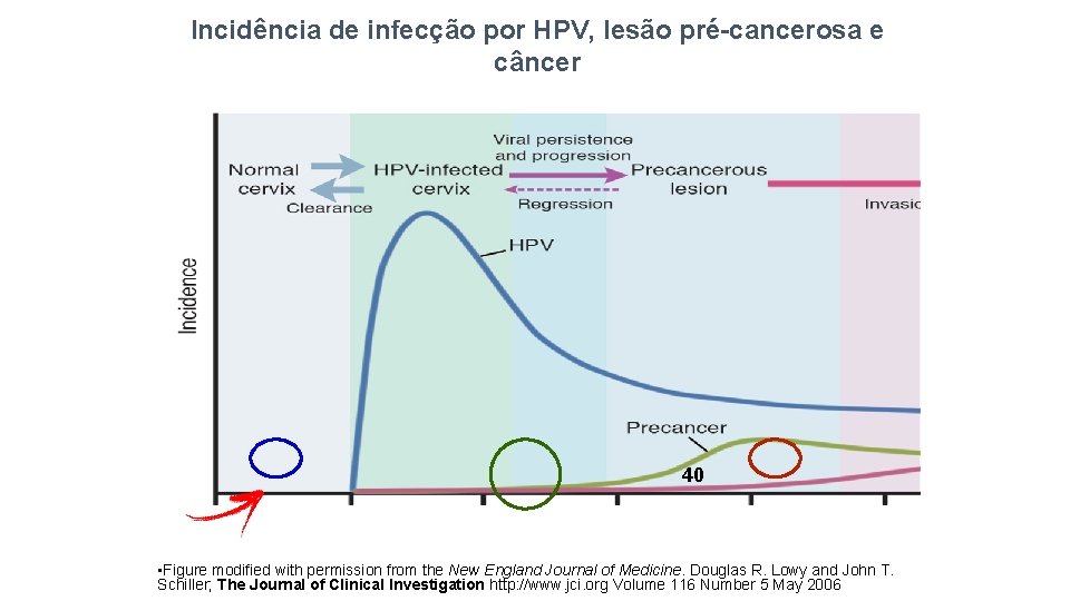 Incidência de infecção por HPV, lesão pré-cancerosa e câncer 40 • Figure modified with