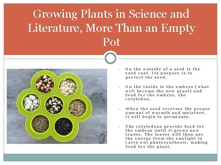 Growing Plants in Science and Literature, More Than an Empty Pot • On the