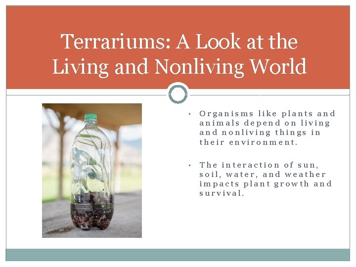 Terrariums: A Look at the Living and Nonliving World • Organisms like plants and