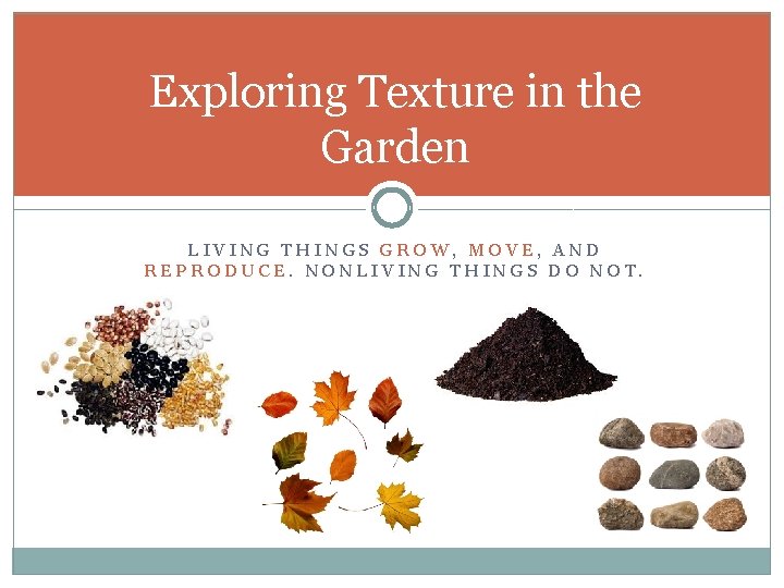 Exploring Texture in the Garden LIVING THINGS GROW, MOVE, AND REPRODUCE. NONLIVING THINGS DO