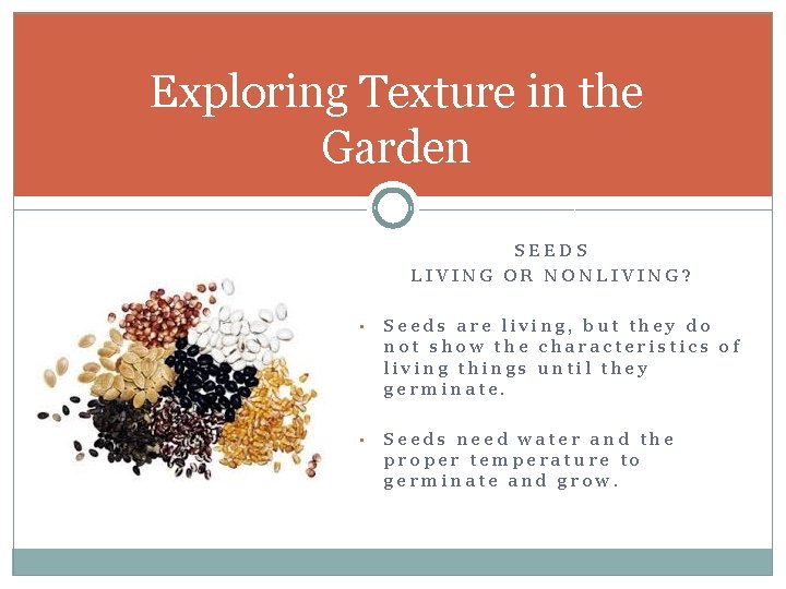 Exploring Texture in the Garden SEEDS LIVING OR NONLIVING? • Seeds are living, but