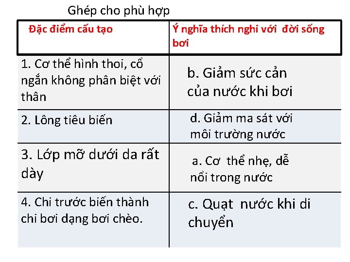 Ghép cho phù hợp Đặc điểm cấu tạo Ý nghĩa thích nghi với đời