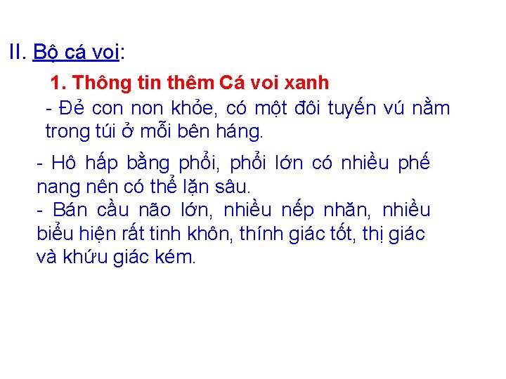 II. Bộ cá voi: 1. Thông tin thêm Cá voi xanh - Đẻ con