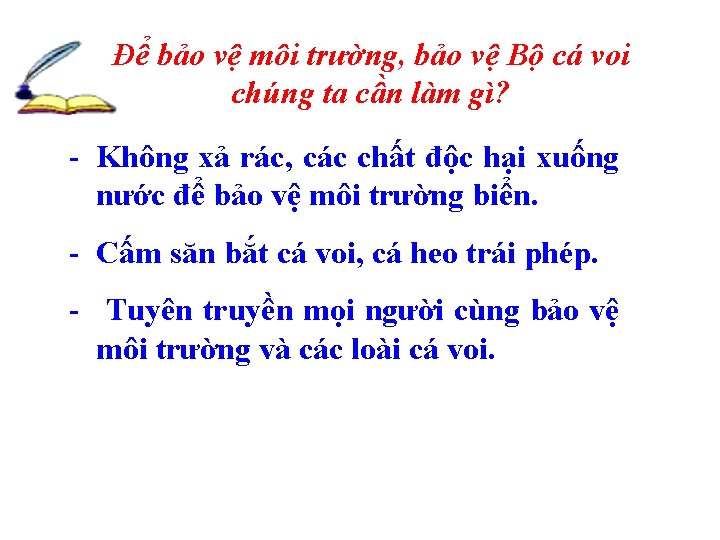 Để bảo vệ môi trường, bảo vệ Bộ cá voi chúng ta cần làm