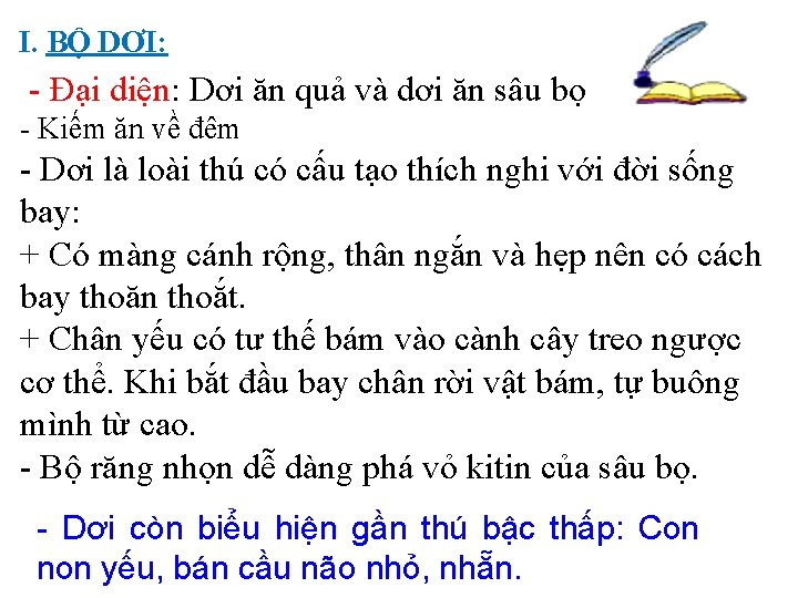 I. BỘ DƠI: - Đại diện: Dơi ăn quả và dơi ăn sâu bọ