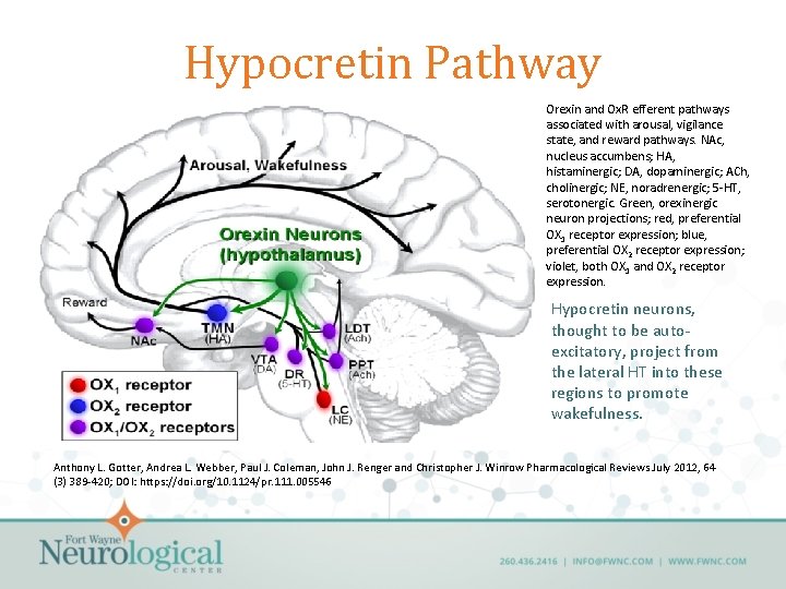 Hypocretin Pathway Orexin and Ox. R efferent pathways associated with arousal, vigilance state, and