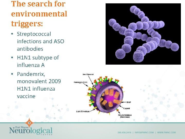 The search for environmental triggers: • Streptococcal infections and ASO antibodies • H 1