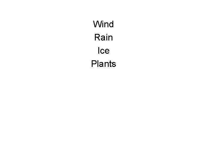 Wind Rain Ice Plants 