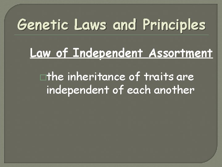Genetic Laws and Principles Law of Independent Assortment �the inheritance of traits are independent Genetic Laws and Principles Law of Independent Assortment �the inheritance of traits are independent