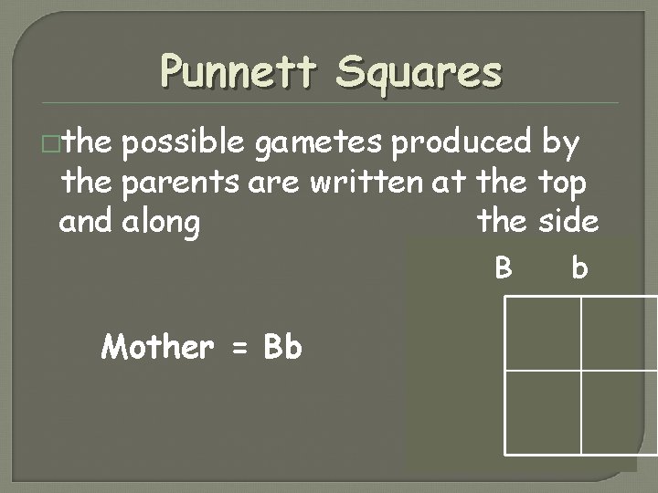 Punnett Squares �the possible gametes produced by the parents are written at the top Punnett Squares �the possible gametes produced by the parents are written at the top