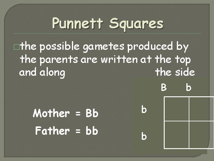 Punnett Squares �the possible gametes produced by the parents are written at the top Punnett Squares �the possible gametes produced by the parents are written at the top