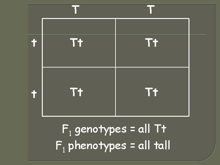 T T t Tt Tt F 1 genotypes = all Tt F 1 phenotypes T T t Tt Tt F 1 genotypes = all Tt F 1 phenotypes