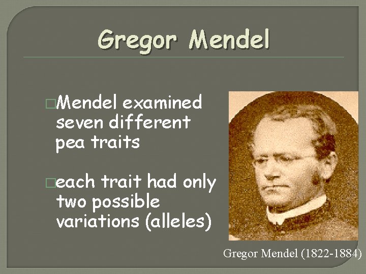 Gregor Mendel �Mendel examined seven different pea traits �each trait had only two possible Gregor Mendel �Mendel examined seven different pea traits �each trait had only two possible