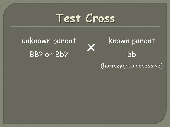 Test Cross unknown parent BB? or Bb? x known parent bb (homozygous recessive) Test Cross unknown parent BB? or Bb? x known parent bb (homozygous recessive)