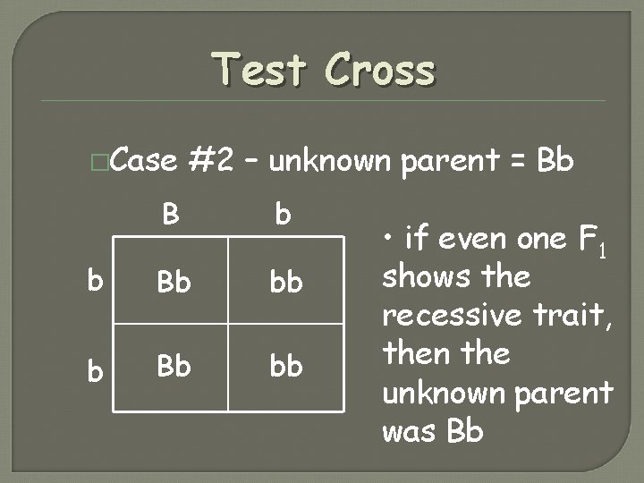 Test Cross �Case #2 – unknown parent = Bb B b b Bb bb Test Cross �Case #2 – unknown parent = Bb B b b Bb bb