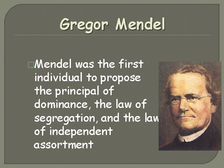 Gregor Mendel �Mendel was the first individual to propose the principal of dominance, the Gregor Mendel �Mendel was the first individual to propose the principal of dominance, the