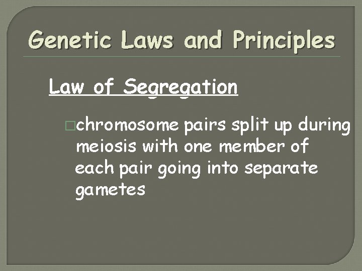 Genetic Laws and Principles Law of Segregation �chromosome pairs split up during meiosis with Genetic Laws and Principles Law of Segregation �chromosome pairs split up during meiosis with