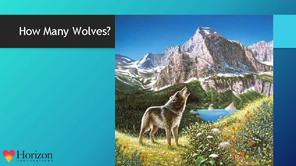 How Many Wolves? 