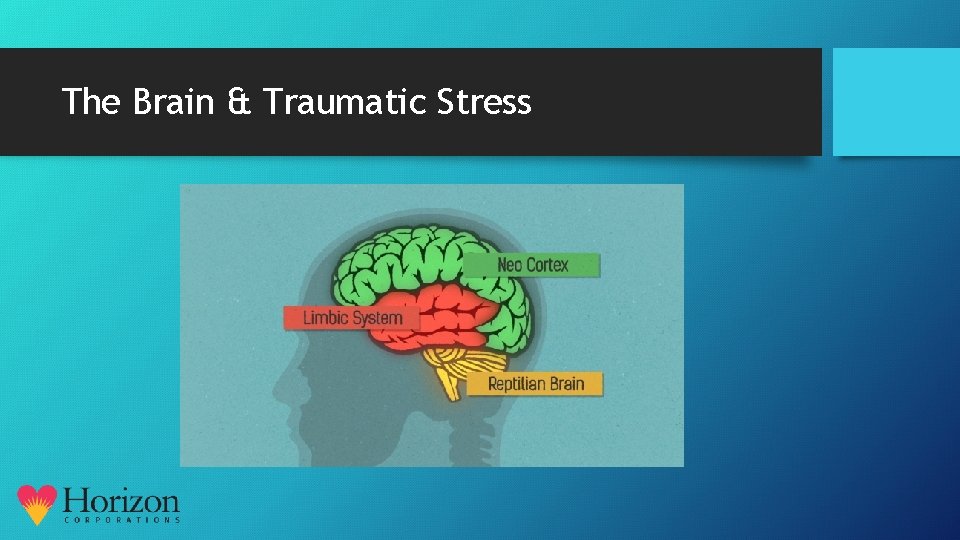 The Brain & Traumatic Stress 
