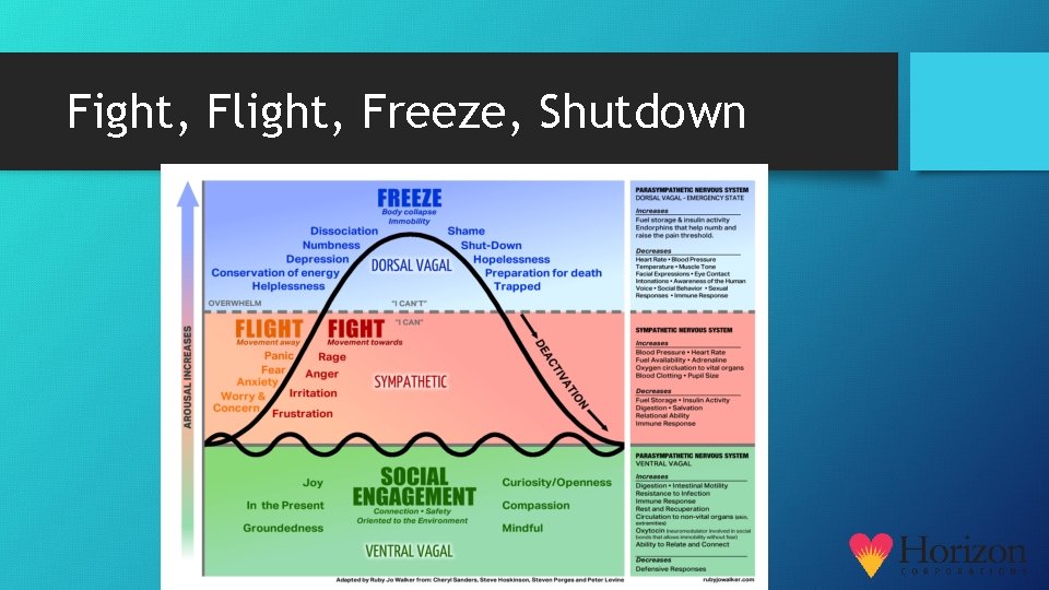 Fight, Flight, Freeze, Shutdown 