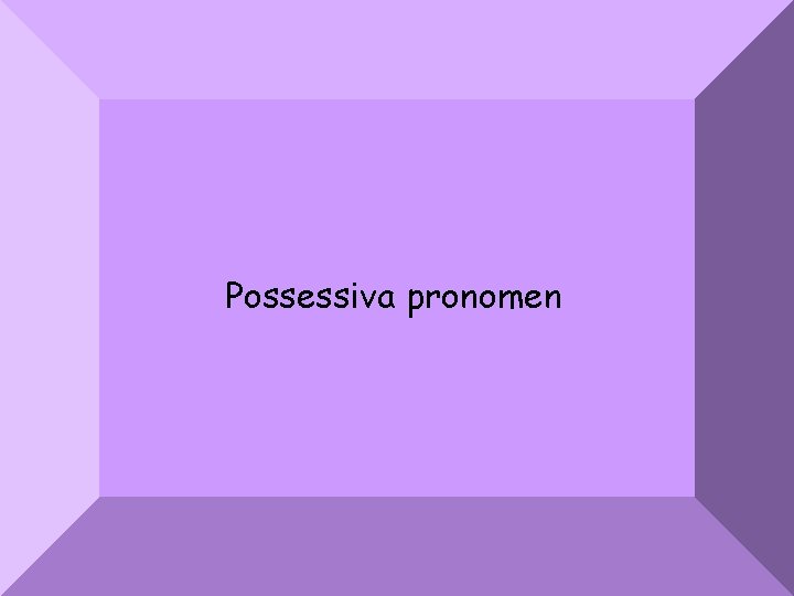 Possessiva pronomen 