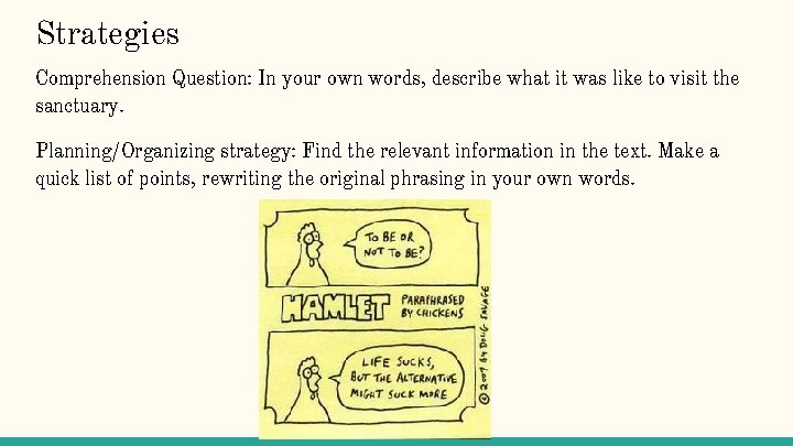 Strategies Comprehension Question: In your own words, describe what it was like to visit