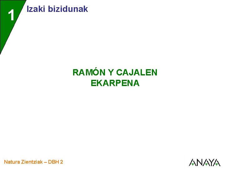 1 Izaki bizidunak RAMÓN Y CAJALEN EKARPENA Natura Zientziak – DBH 2 