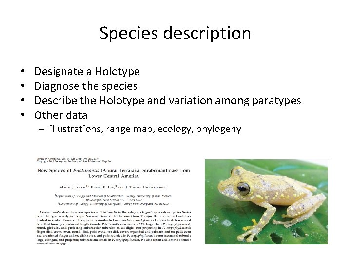 Species description • • Designate a Holotype Diagnose the species Describe the Holotype and