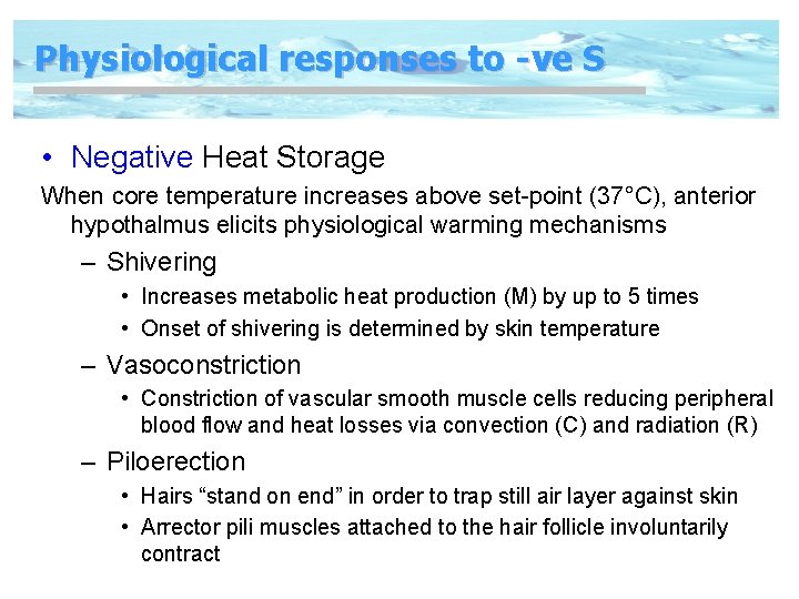 Physiological responses to -ve S • Negative Heat Storage When core temperature increases above