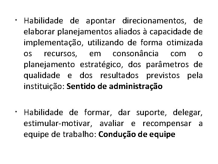  Habilidade de apontar direcionamentos, de elaborar planejamentos aliados à capacidade de implementação, utilizando