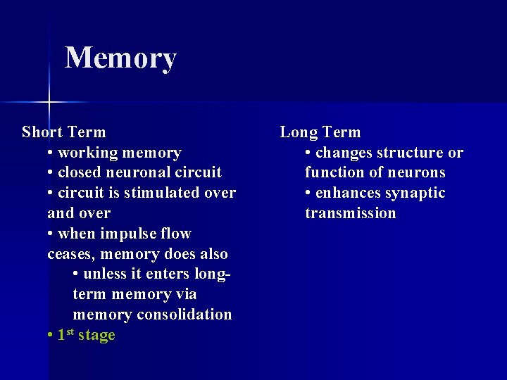 Memory Short Term • working memory • closed neuronal circuit • circuit is stimulated