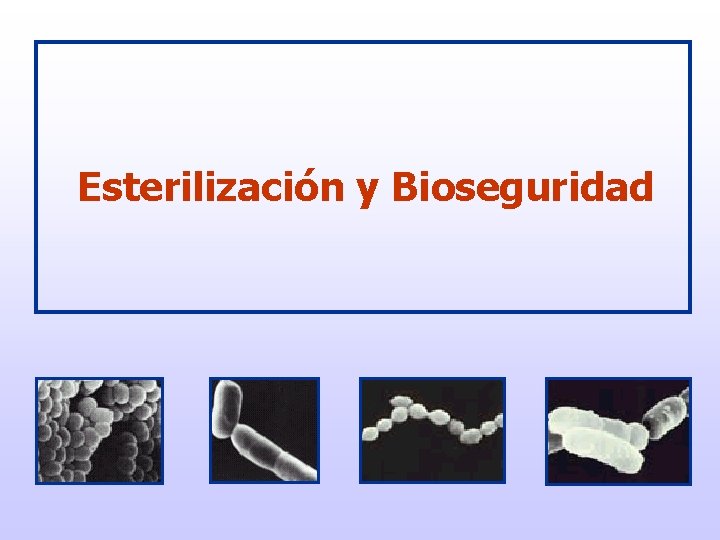 Esterilización y Bioseguridad 