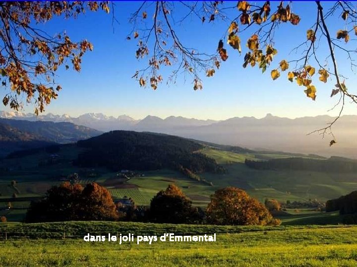 dans le joli pays d‘Emmental 