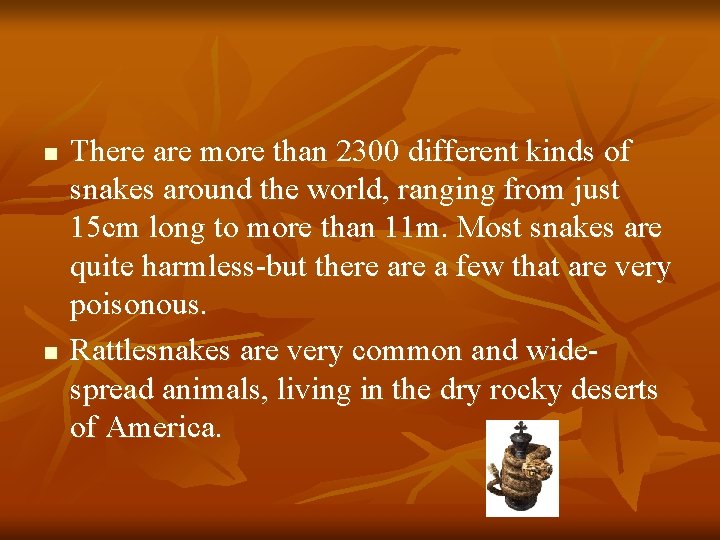 n n There are more than 2300 different kinds of snakes around the world,