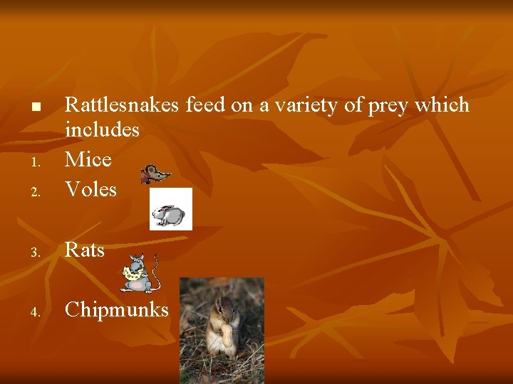 2. Rattlesnakes feed on a variety of prey which includes Mice Voles 3. Rats