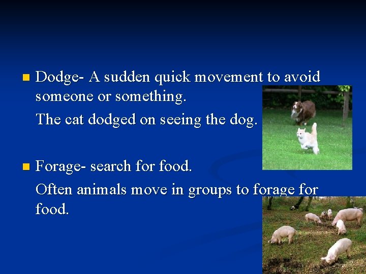 n Dodge- A sudden quick movement to avoid someone or something. The cat dodged