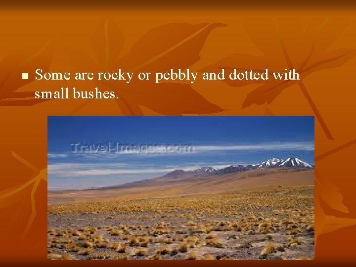 n Some are rocky or pebbly and dotted with small bushes. 