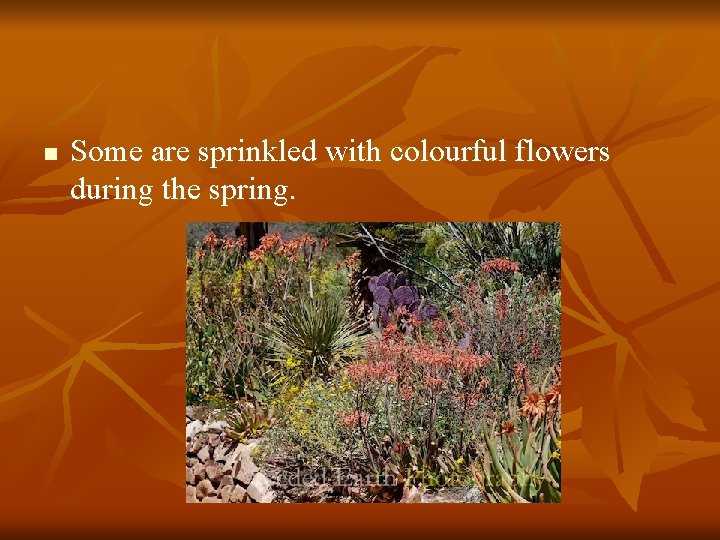 n Some are sprinkled with colourful flowers during the spring. 