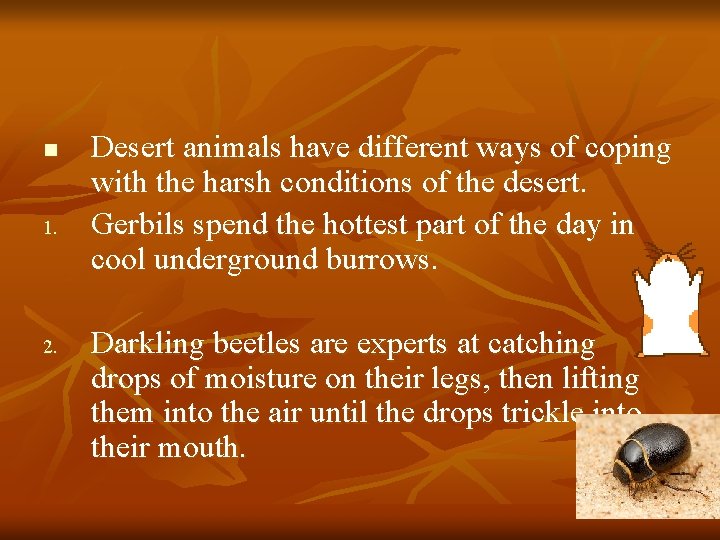 n 1. 2. Desert animals have different ways of coping with the harsh conditions