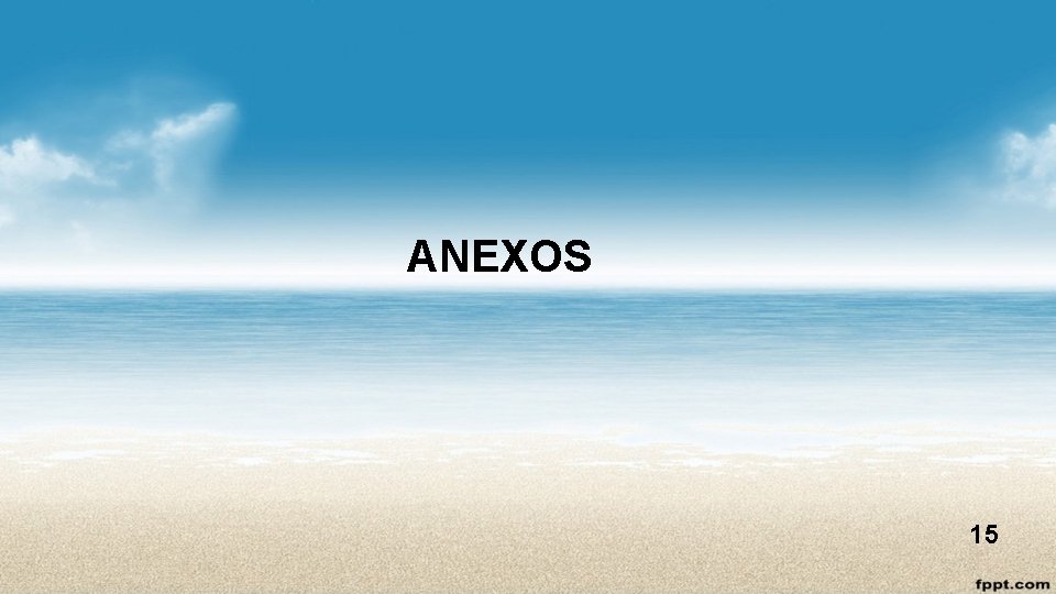 ANEXOS 15 