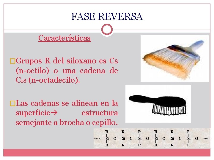 FASE REVERSA Características �Grupos R del siloxano es C 8 (n-octilo) o una cadena