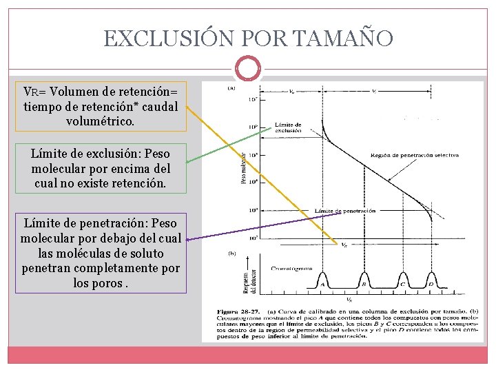 EXCLUSIÓN POR TAMAÑO VR= Volumen de retención= tiempo de retención* caudal volumétrico. Límite de