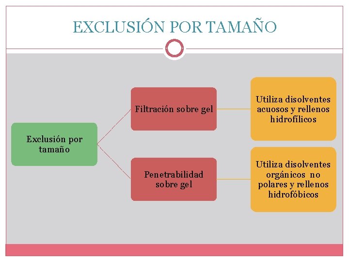 EXCLUSIÓN POR TAMAÑO Filtración sobre gel Utiliza disolventes acuosos y rellenos hidrofílicos Penetrabilidad sobre