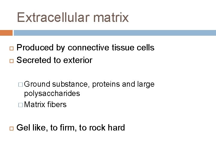 Extracellular matrix Produced by connective tissue cells Secreted to exterior � Ground substance, proteins