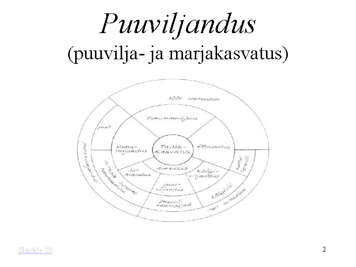 Puuviljandus (puuvilja- ja marjakasvatus) Slaidile 10 2 