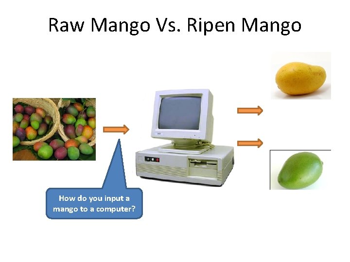 Raw Mango Vs. Ripen Mango How do you input a mango to a computer?