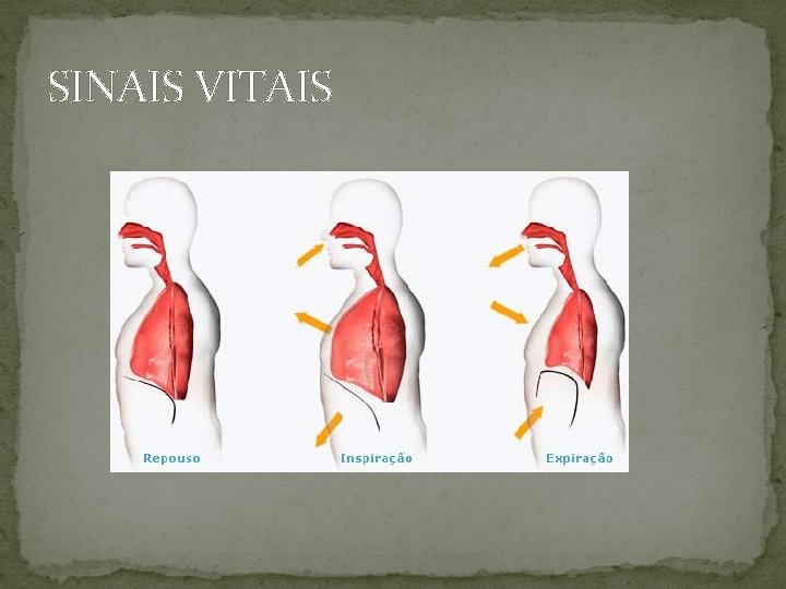 SINAIS VITAIS 