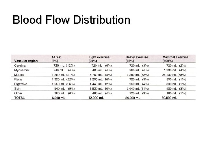 Blood Flow Distribution 