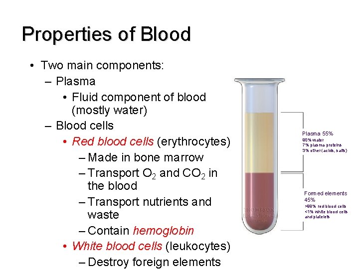 Properties of Blood • Two main components: – Plasma • Fluid component of blood
